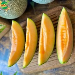 Dưa lưới biển Hằng Nga (Trái)