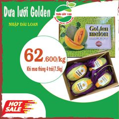 Dưa lưới Đài Loan (Trái)