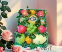 Hộp quà trái cây 500 - 01