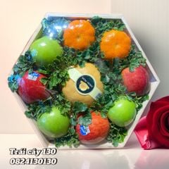 Hộp quà trái cây 500 - 02