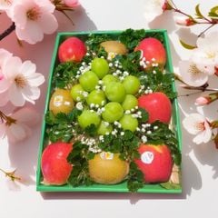 Hộp quà trái cây 600 - 01