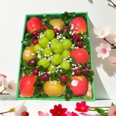 Hộp quà trái cây 700 - 01