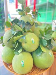 Bưởi da xanh Bến Tre (Trái)
