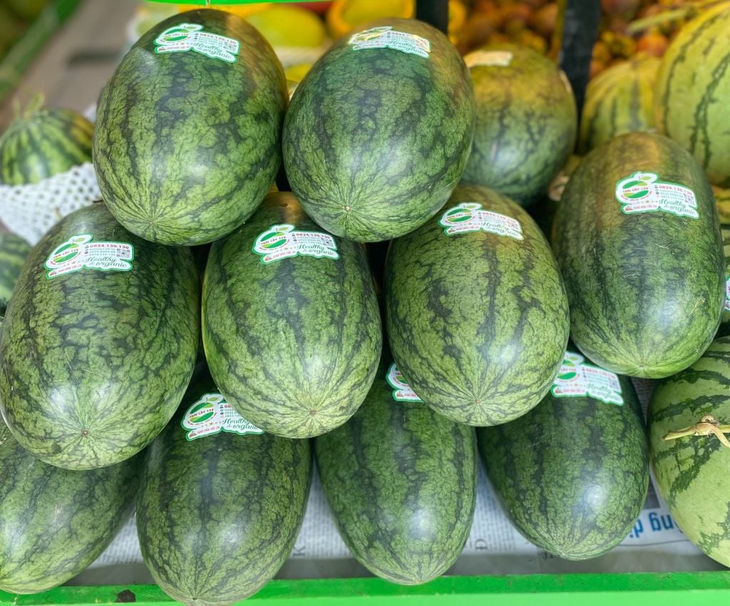 Dưa hấu có hạt (Trái)