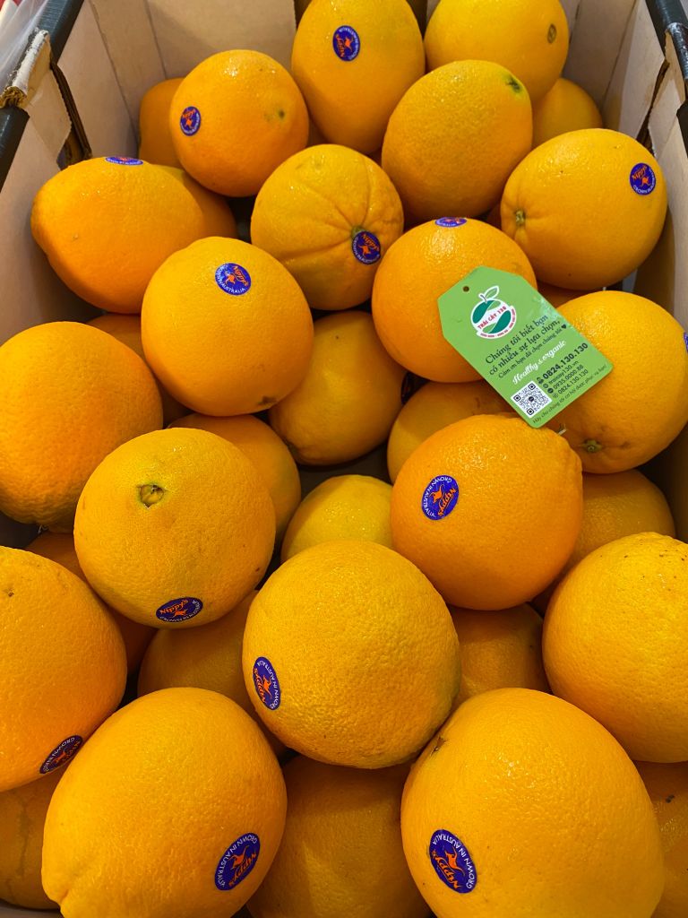 Combo 2 quả cam vàng Úc ~700g