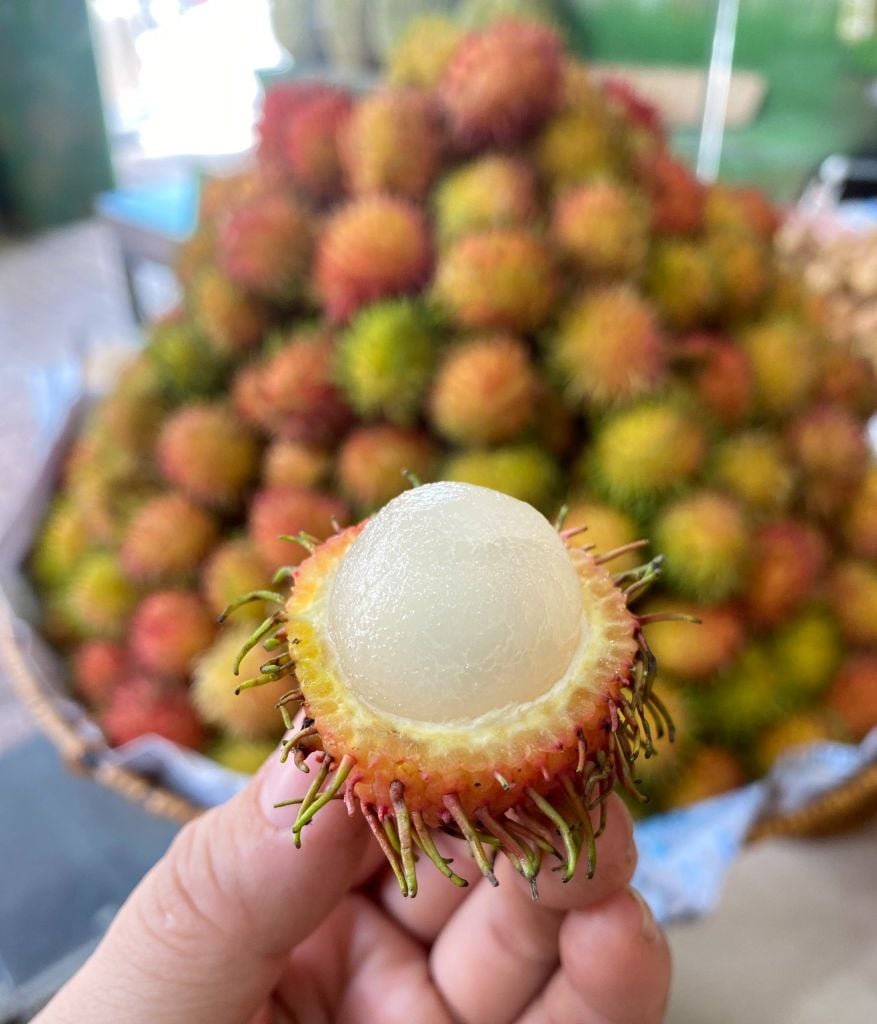 Chôm chôm nhãn