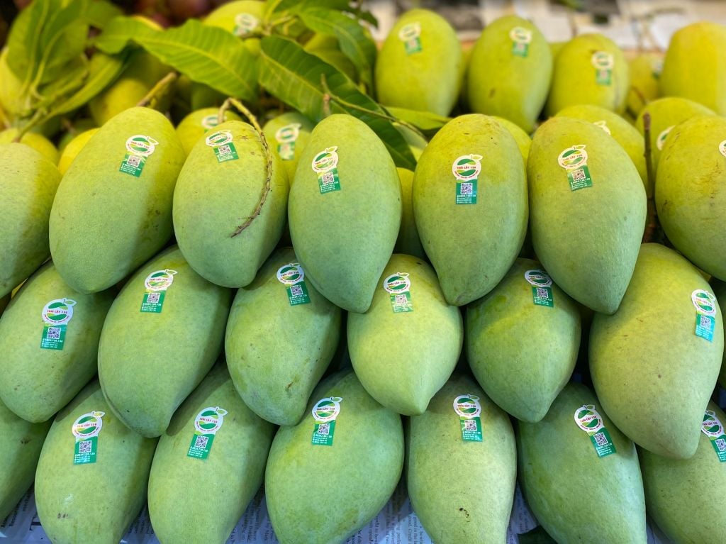 Xoài cát Hòa Lộc loại 1