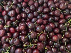 Cherry Mỹ size 9