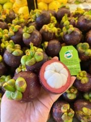 Măng cụt Bảo Lộc