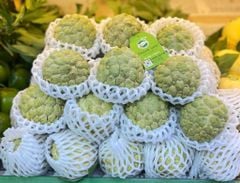 Mãng Cầu Vũng Tàu