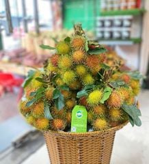 Chôm chôm Thái