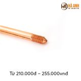  Cọc tếp địa thép mạ đồng Ramratna D16 dài 2,4m 