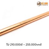  Cọc tếp địa thép mạ đồng Ramratna D16 dài 2,4m 