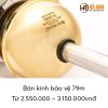  Kim thu sét Bakiral bán kính bảo vệ 79m 