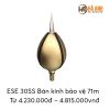  Kim thu sét Stormaster ESE 30SS Bán kính bảo vệ 71m 