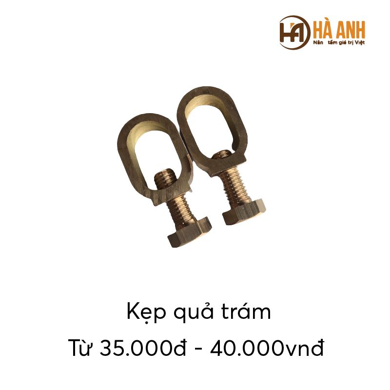  Kẹp quả trám 