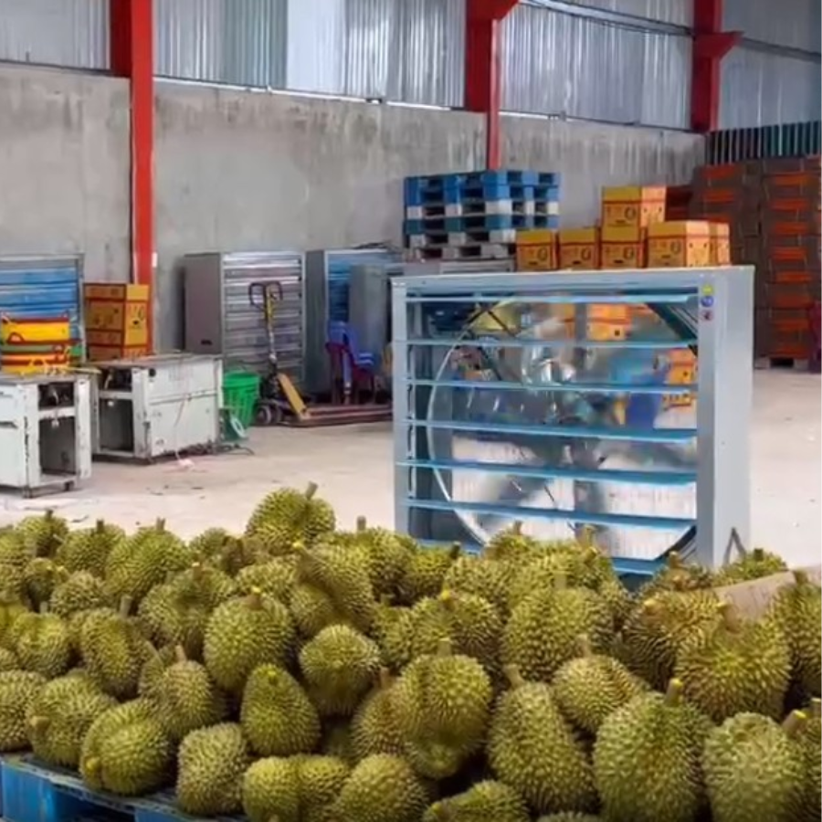 Quạt Thổi Khô - Kích Thước 400x400mm