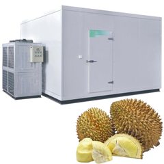 Kho Cấp Đông Sầu Riêng