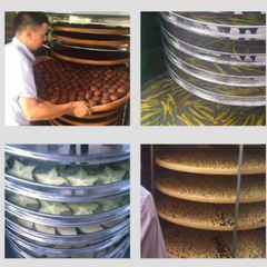 Tủ Sấy Nông Sản 12 Khay Xoay