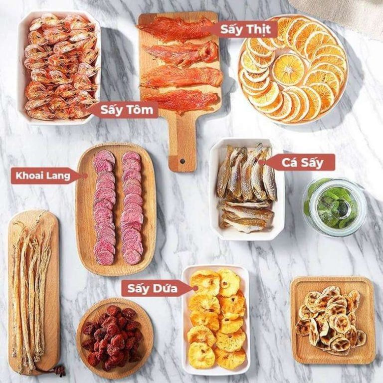 Máy Sấy Hoa Quả Hiệu Năng Cao 24 Khay