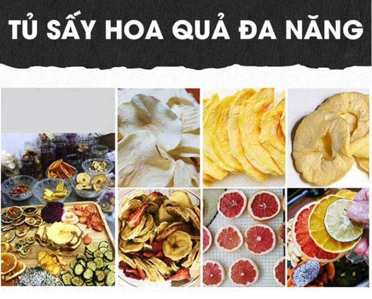 Máy Sấy Hoa Quả Hiệu Năng Cao 32 Khay