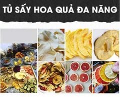 Máy Sấy Hoa Quả Hiệu Năng Cao 32 Khay