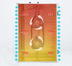 Máy Sấy Hoa Quả Hiệu Năng Cao 16 Khay