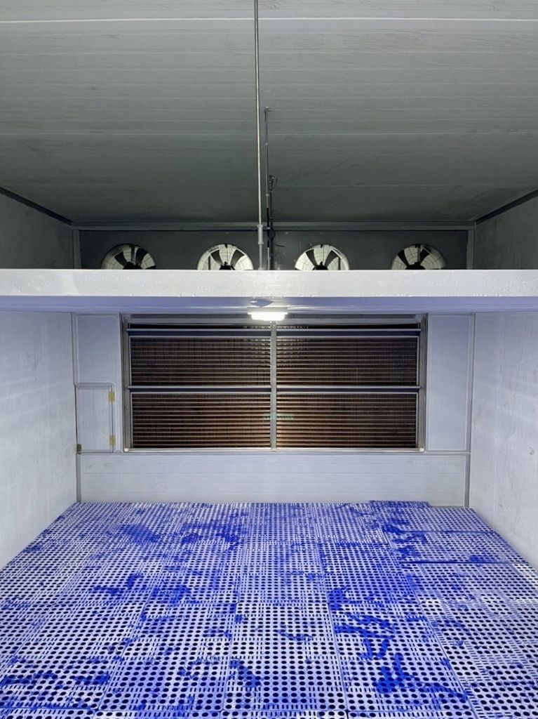 Kho Cấp Đông Chanh Dây