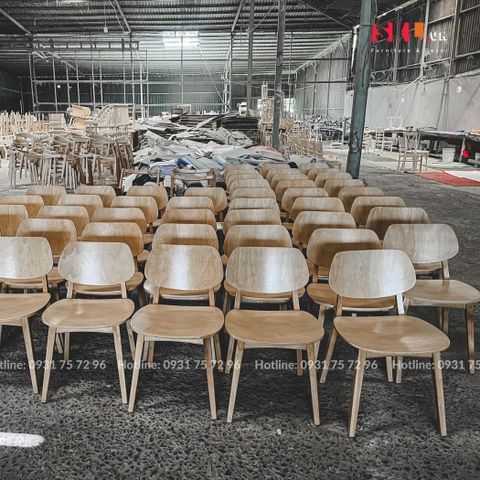  Ghế Venus Gỗ Cao Su SKC69 