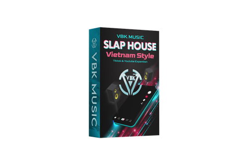  DVD SLAPHOUSE VIETNAM STYLE 