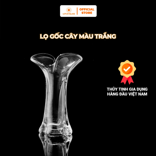  Lọ gốc cây màu trắng 