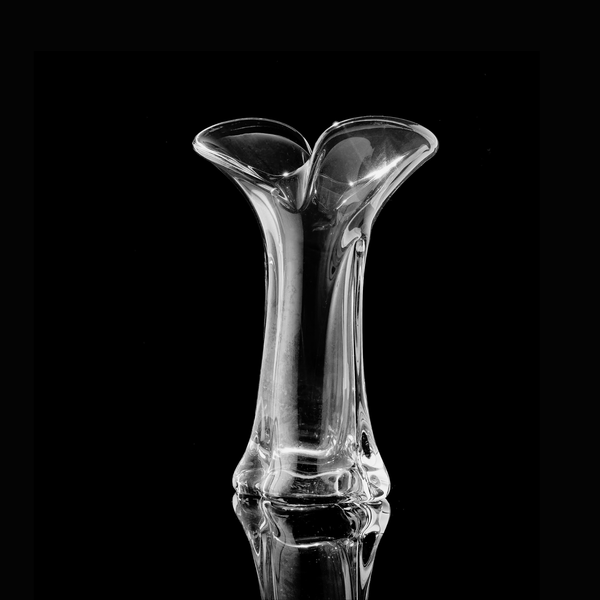  Lọ gốc cây màu trắng 