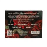  Dynamic Tattoo Ink Lips and Roses 1oz Color Set 