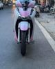  SH 2020 Dán Tem Trùm Trắng Hồng 
