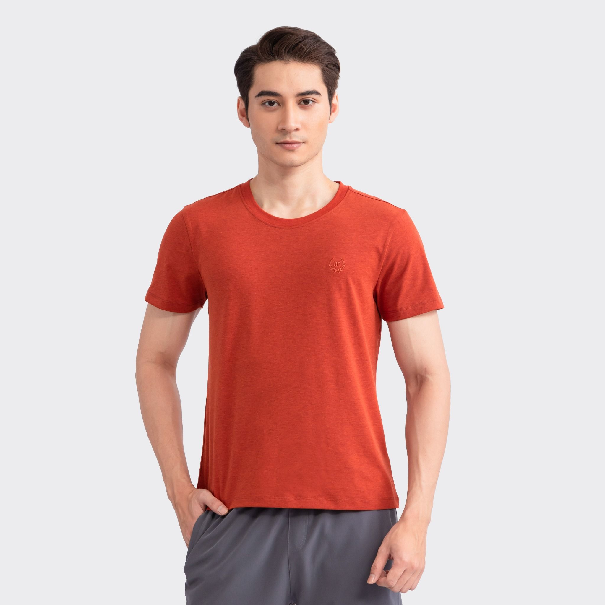  Áo T-shirt nam ngắn tay Insidemen ITS002S3 