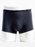  Quần lót nam boxer Insidemen IBX009 