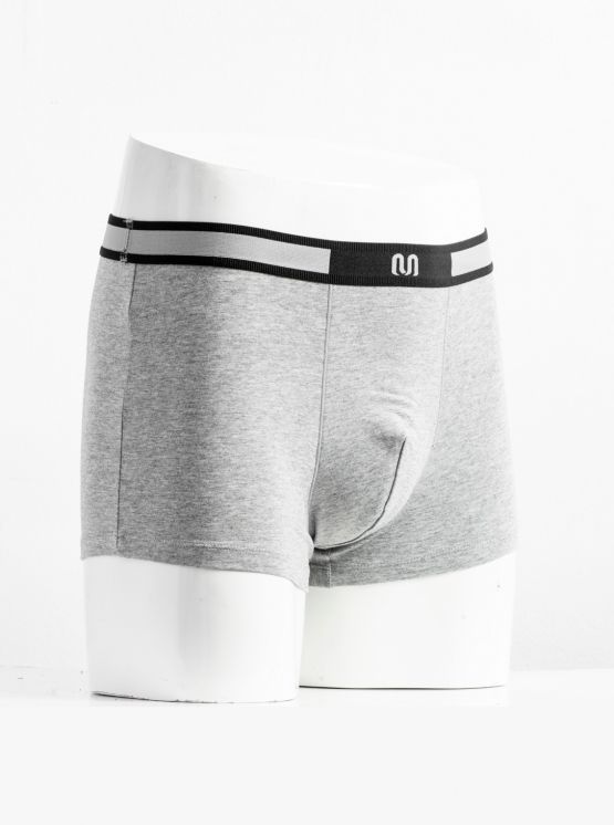  Quần lót nam boxer Insidemen IBX003 