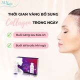  Zen Nano Colla - Nước Uống Làm Đẹp Yến Sào Nano Collagen 