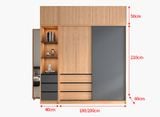  Tủ quần áo gỗ MDF kiểu dáng hiện đại DTA16 