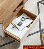  Bàn sofa hiện đại bằng gỗ cho phòng khách DSF06 