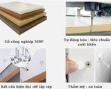  Giường ngủ, giường gỗ MDF thiết kế sang trọng DGN06 