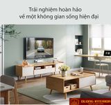  Kệ tivi Bắc Âu cho phòng khách hiện đại DTV07 