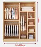  Tủ quần áo cánh lùa sang trọng tiện dụng DTA23 