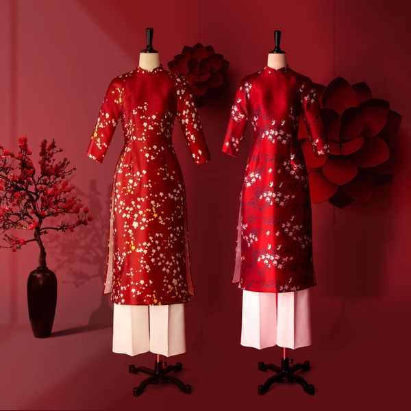  Áo Dài Katosa Tafta Tay Lửng 2 Màu-KTS221311 