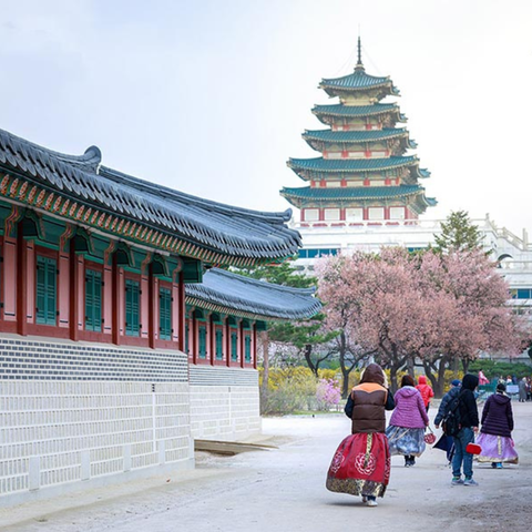 HÀ NỘI - SEORAKSAN – SEOUL – NAMI- KIMCHI SHOW