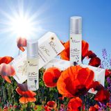  Tinh Dầu Le + Pure 10ml 