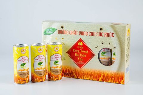  Nước Đông Trùng Hạ Thảo Yến HT+ 