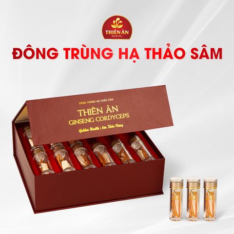  Đông Trùng Hạ Thảo Sấy Thăng Hoa 