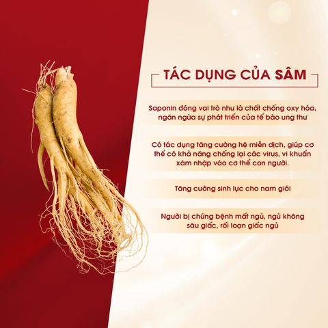  Đông Trùng Hạ Thảo Sấy Thăng Hoa 