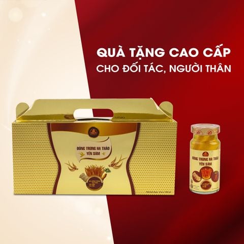  Đông Trùng Hạ Thảo Yến Sâm 